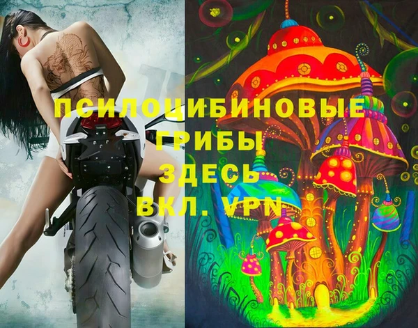 эйфоретик Абаза